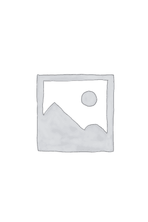 Web-based Training - Negotiation (en)